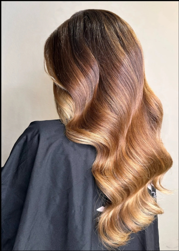 Hed Salon - Visual