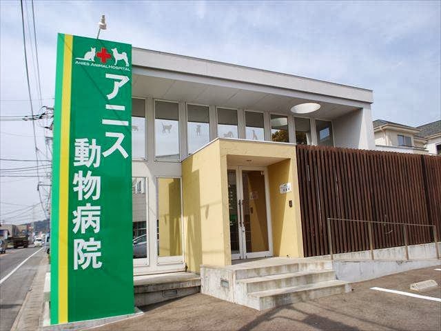 アニス動物病院