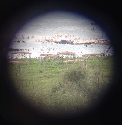 Photos of Lake Kuş