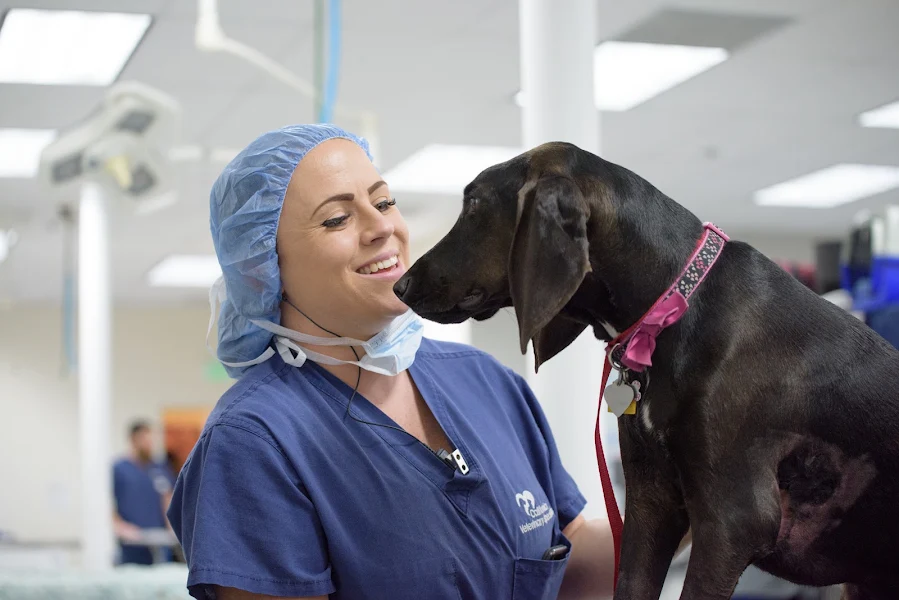 VCA California Veterinary Specialists-Ontario photo