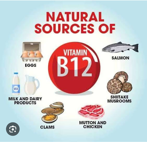 विटामिन B 12 हमारे लिए बेहद महत्वपूर्ण हैं जानिए इसके सोर्सेज़ क्या…