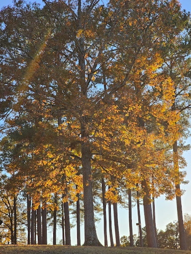 Tuscaloosa County Rest Area - Thumbnail