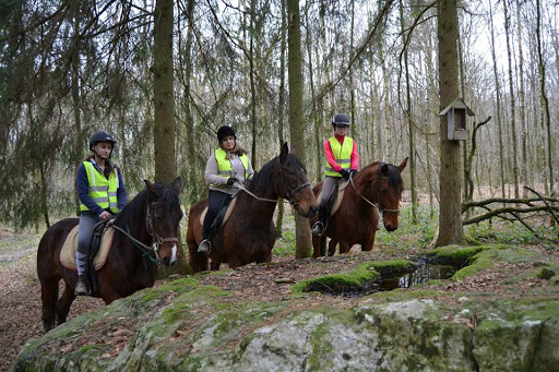 Horse ride - Thumbnail