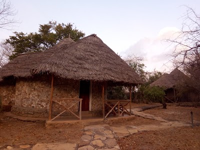 Photos of Village Shasha Camp