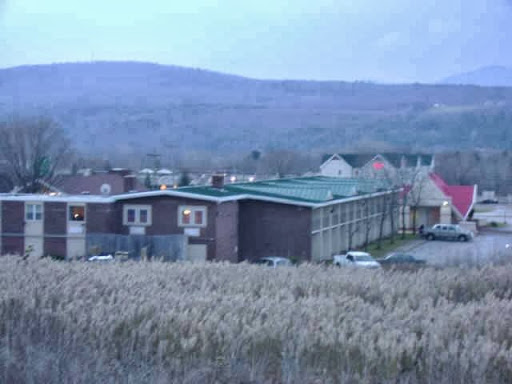 Shane's Roofing - Thumbnail