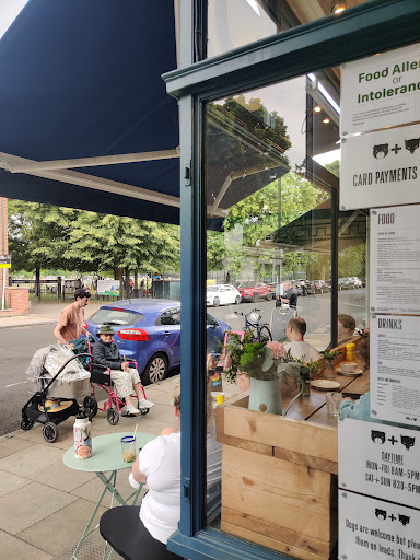 Bear + Wolf Cafe - Thumbnail