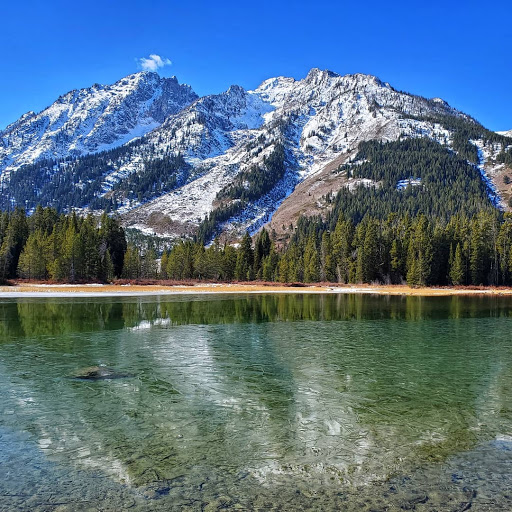 E-Bikes of Jackson Hole - Thumbnail