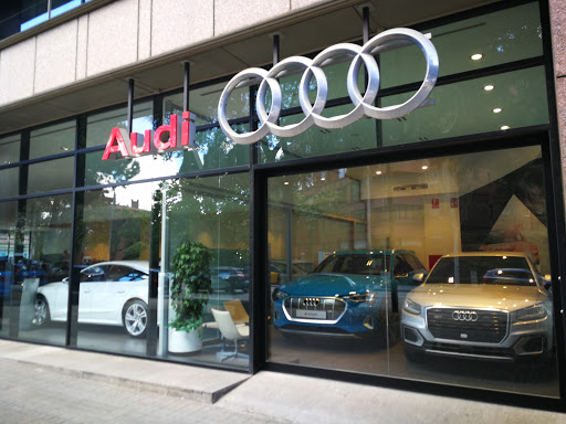 Audi Selection Plus - Visual