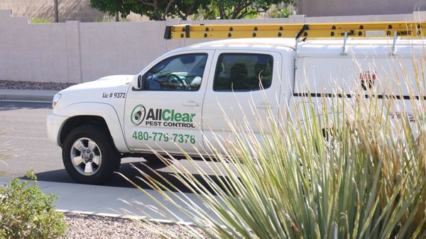 All Clear Pest Control