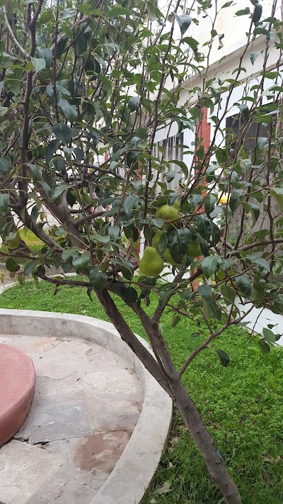 Photos of Casa Solariega Hostal B&B