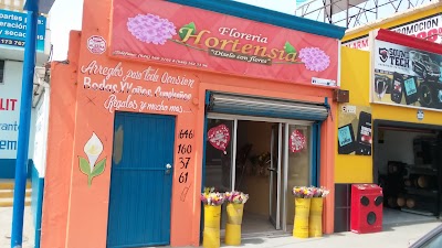 Floreria Hortensia, Baja California, Mexico