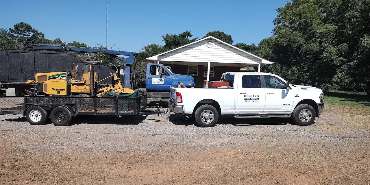 Morgan's Stump Removal