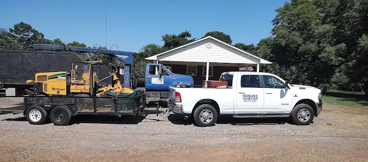 Morgan's Stump Removal