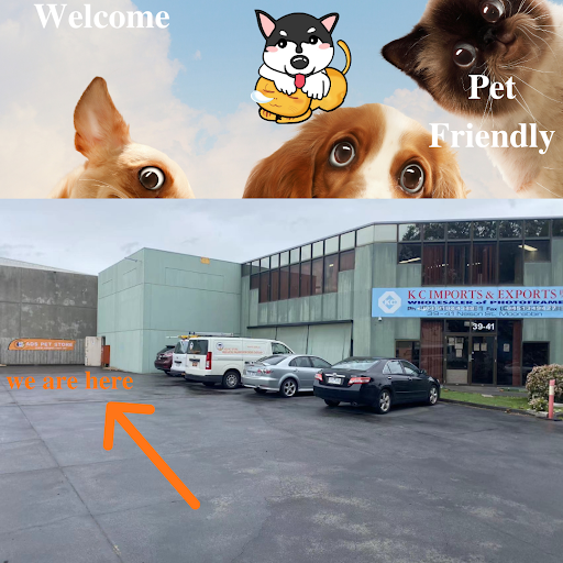 ADS Pet Store Gallery - Australia