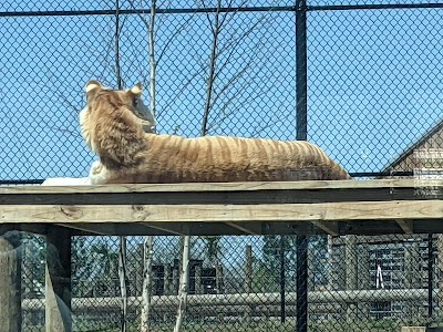 Alabama Gulf Coast Zoo