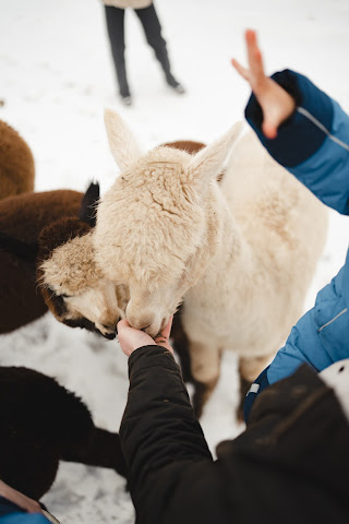 Le Domaine Des Hautes Fagnes & Spa by null