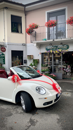 Sogno Fiorito Torino