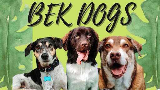 BEK Dogs - Thumbnail