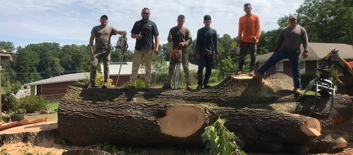 LS Trees