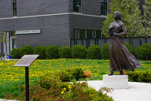 Windsor Hall - Visual