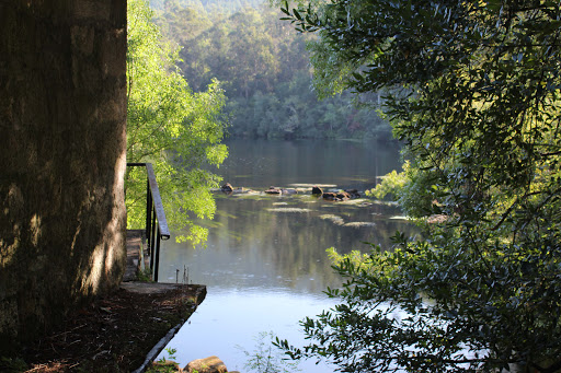 Río Ulla - Visual