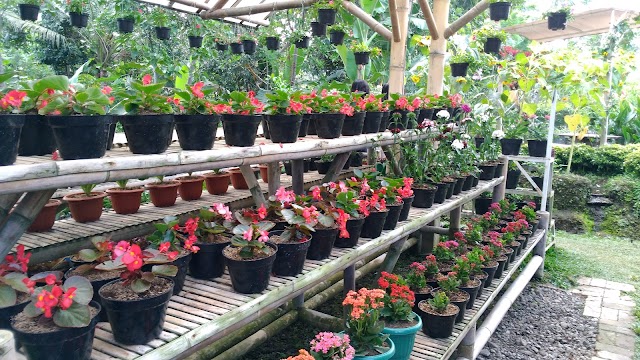 Erista Garden