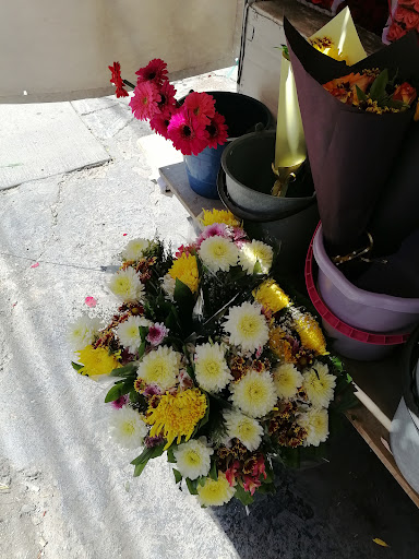 Venta de rosas - Visual