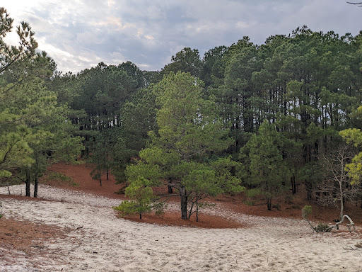 Savage Neck Dunes Natural Area Preserve - Thumbnail