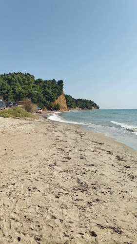 Χελώνα Beach Bar - Κασσάνδρα