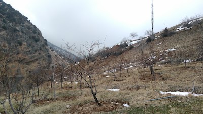 mosque