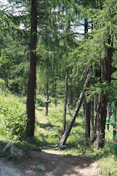 Photo n°22 de Accro des merveilles à Tende (Attraction touristique)