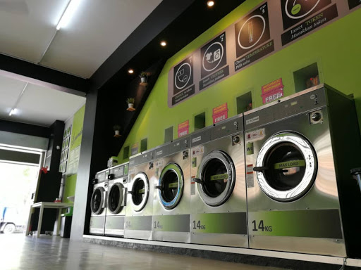 My Concept Laundry Self Service
