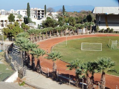 Özer Türk Stadium