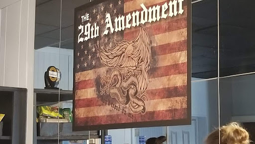 The 29th Amendment - Visual