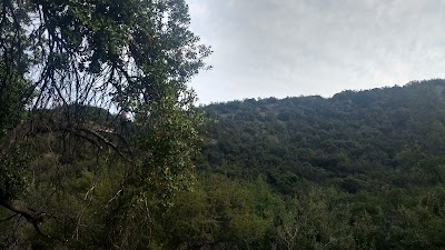 park