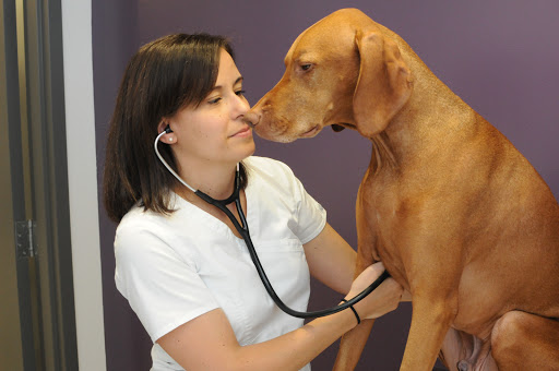 Clinique Vétérinaire Fontainebleau