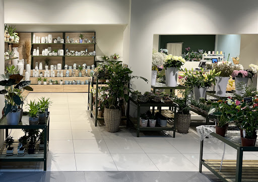 L'Attrape Fleurs - Fleuriste Montélimar - Thumbnail