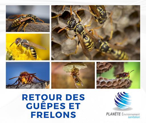 Planète Environnement - Thumbnail