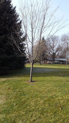 Easton M. Lietchy Memorial Tree - Thumbnail