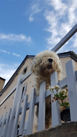 Chambres d'hôtes Pouquette en vallée d'Aspe - Pyrénées by null