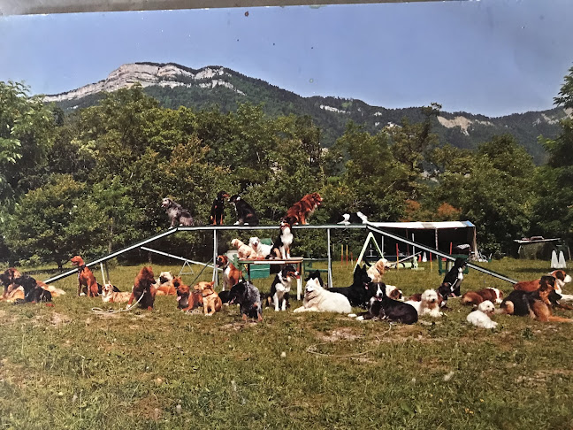 Commentaires et avis sur Centre canin de la Dent de Crolles