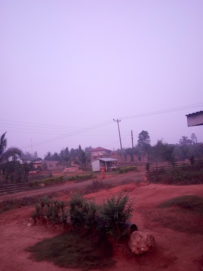 Photos of Palm Guest House
