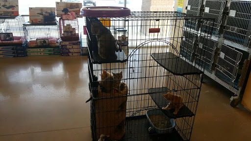 Petsense - Visual