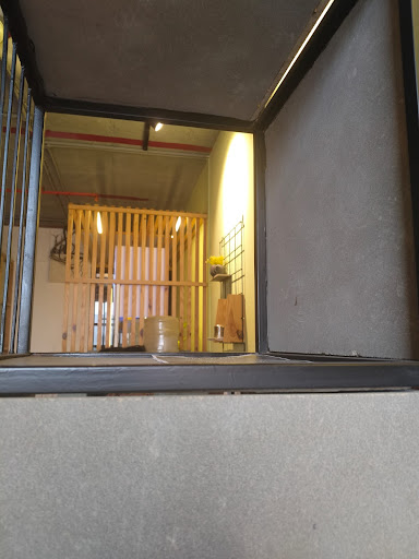 Gallery image 14