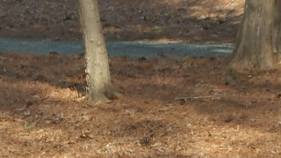 Photos of Union County - Cane Creek Park