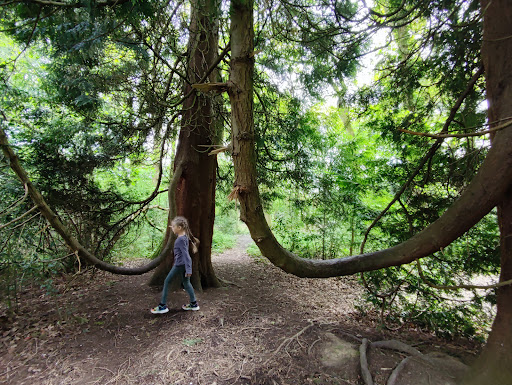 Lower East Court play area - Thumbnail