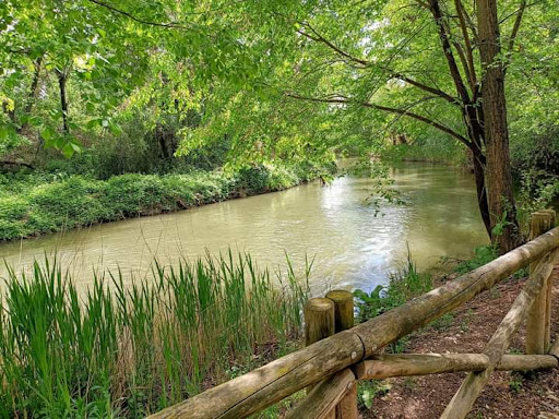 Mirador del Río Henares