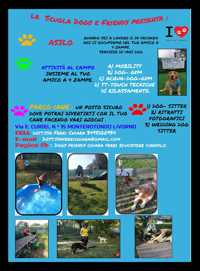 Scuola Cinofila Dogs Friends di Chiara Ferri