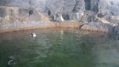 aquarium