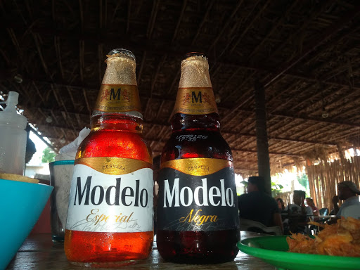Palapas Coronado - Thumbnail